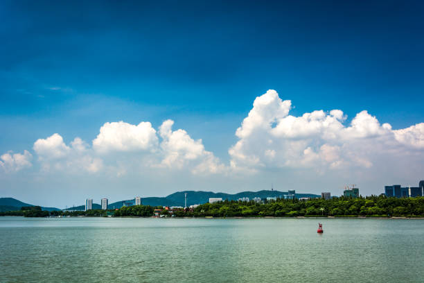istock summer landscape with lake at sunny day 900622794