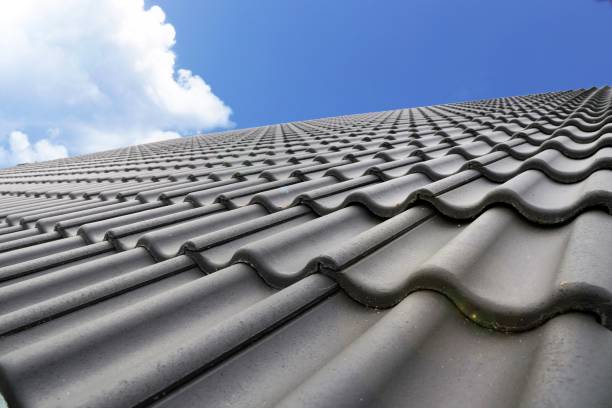 istock Tiled roof on a residential home 900626456