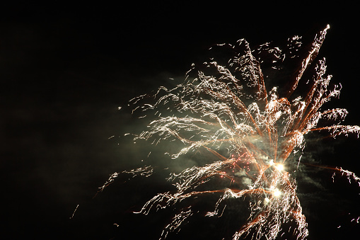 Exploding firework in a dark sky with copy space.