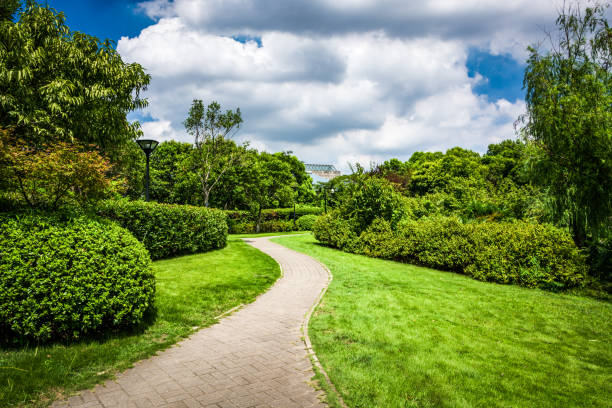 istock The way in the park 900638900