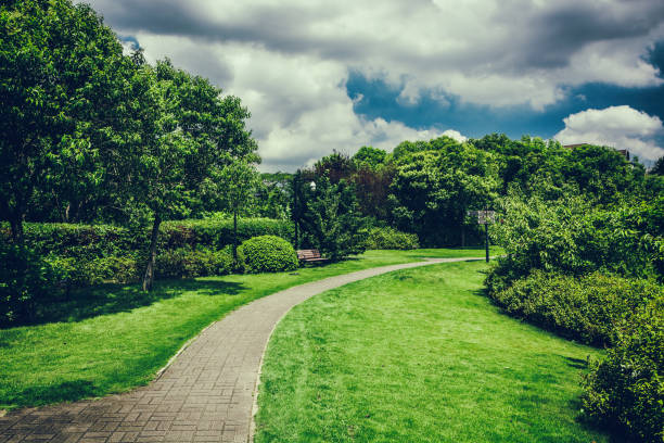 istock Green grass on a golf field 900639688