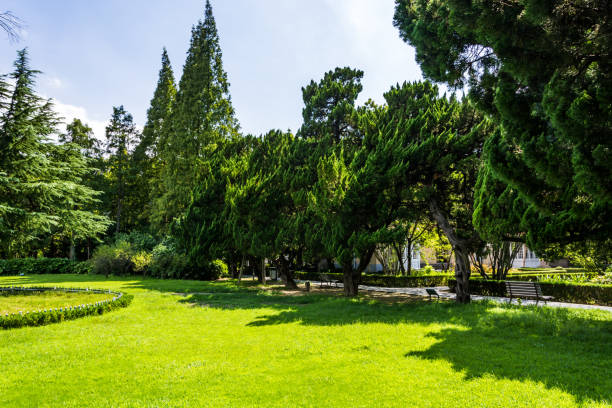 istock Beautiful public park with green grass field 900639764