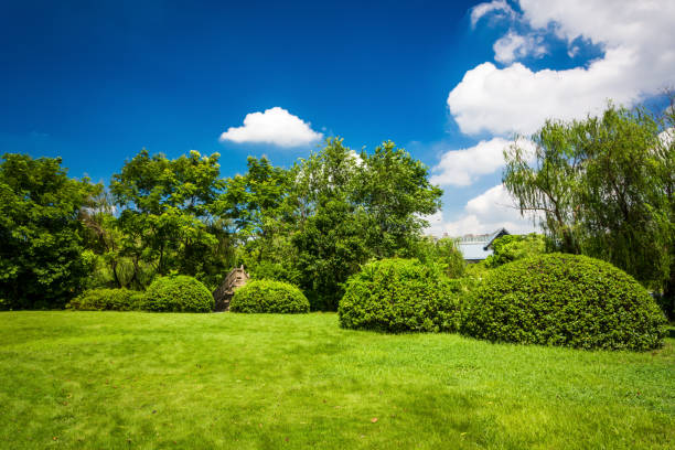 istock Beautiful public park with green grass field 900639800