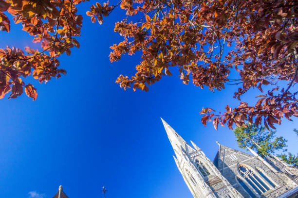 Polanica-Zdroj, Poland - October 21 2023: Beautiful view to high tower of church in center of city with colorful trees and leaves at sunny day