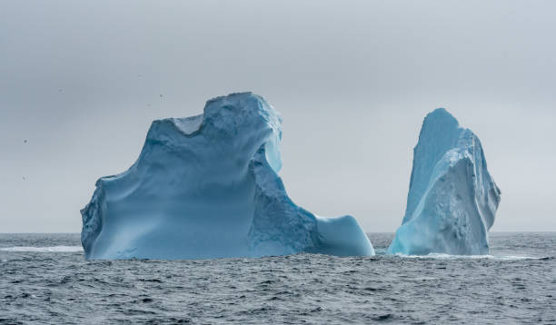 istock Massive icebergs floating in Antarctica 900641798