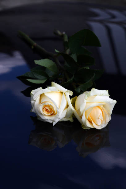 istock White and red roses, bouquet 900647086