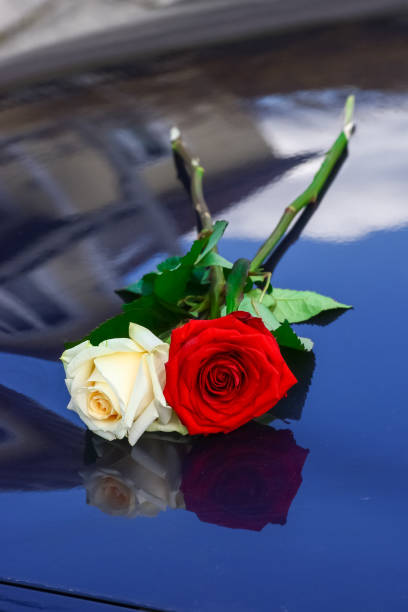 istock White and red roses, bouquet 900647302