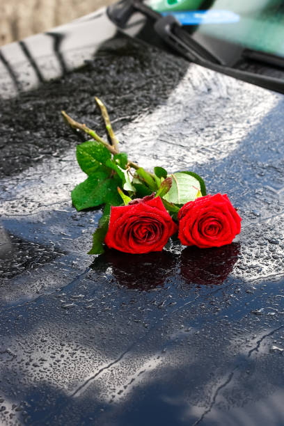 istock White and red roses, bouquet 900647404