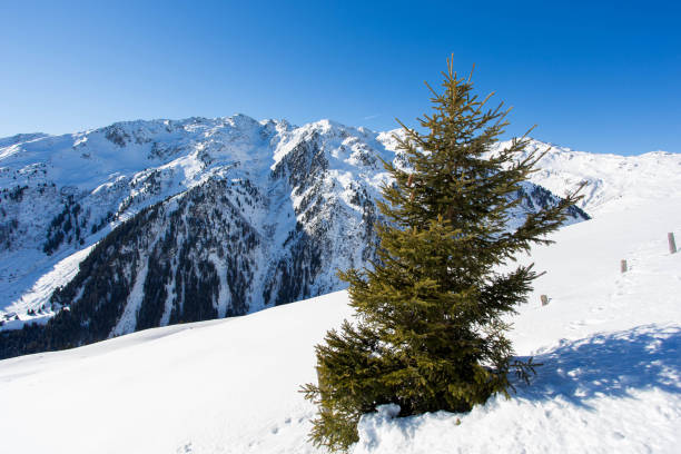 istock Wintery mountain landscape with sunshine 900647450