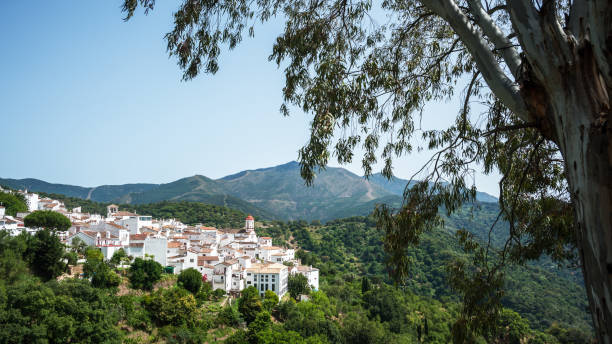 The white villages of Andalusia in the cork oak forest The white villages of Andalusia in the cork oak forest grazalema stock pictures, royalty-free photos & images