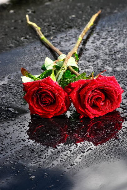 istock White and red roses, bouquet 900648110