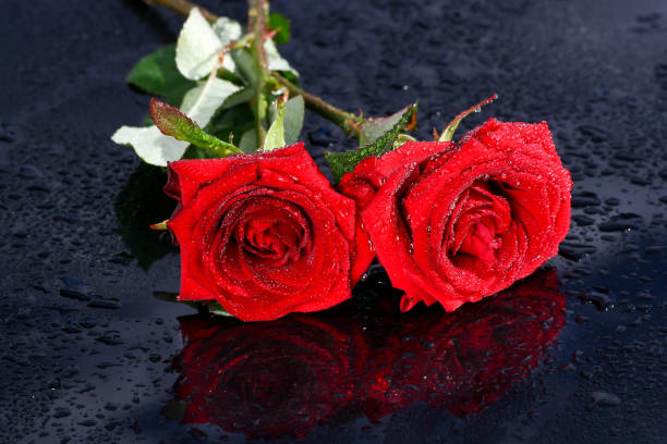 istock White and red roses, bouquet 900648928