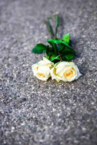 istock White and red roses, bouquet 900651022
