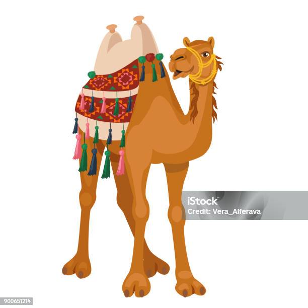 Camel With Traditional Colorful Decorated Stock Illustration - Download Image Now - Camel, Camel Train, Cartoon