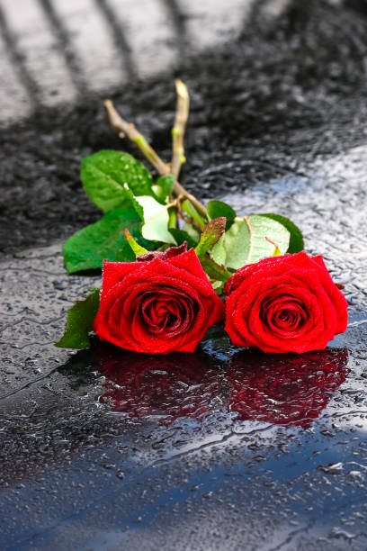 istock White and red roses, bouquet 900651388