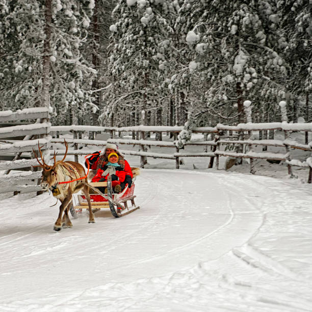 istock Racing on the reindeer sledges 900651460
