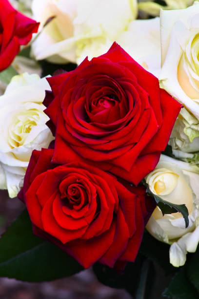 istock White and red roses, bouquet 900651808