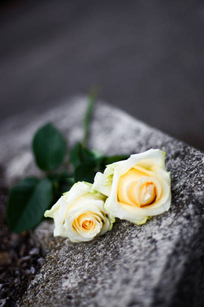istock White and red roses, bouquet 900654036