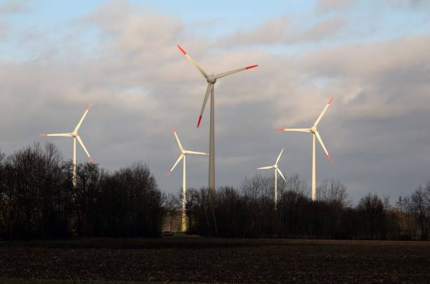 istock Wind energy, the alternative energy production 900658582
