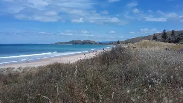 Beach on the EastCoast of New Zealand