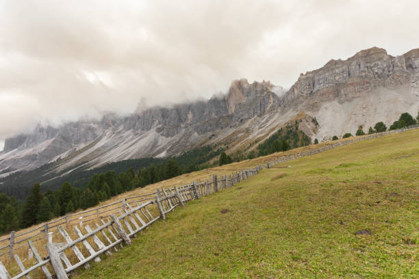 wooden fence from a pasture in val di funes in italy - footpath european alps fence woods imagens e fotografias de stock