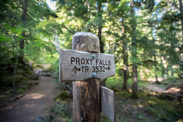 proxy falls loop trail sign - lower proxy falls imagens e fotografias de stock