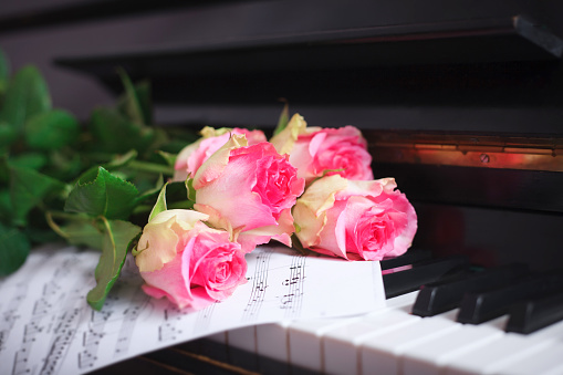 A bouquet of pink roses and notes on the piano keyboard. The concept of a musical education and concerts.