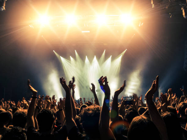 istock Concert crowd in front of a live stage 900698670