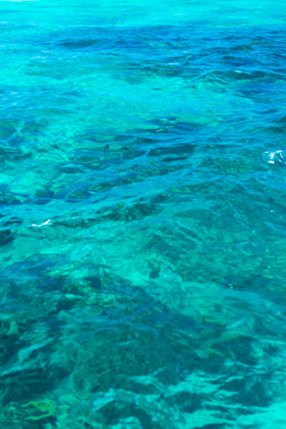 istock Turquoise Blue Caribbean Sea 900699440
