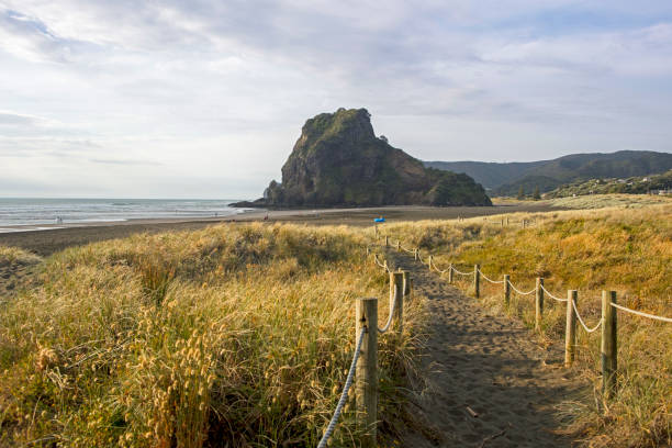 istock Path to Piha Beach with Lion Rock 900699700