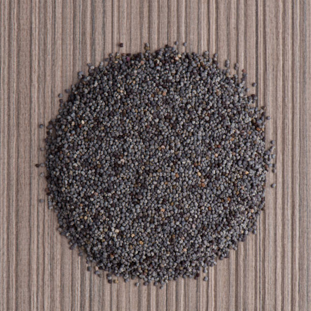 istock Circle of poppy seeds 900700120