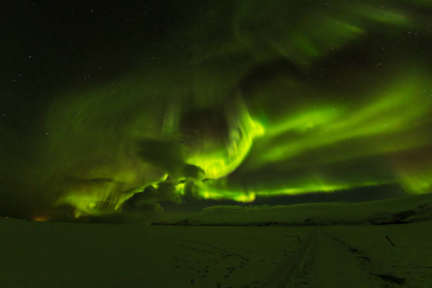 istock Aurora borealis, northern lights in Iceland during winter 900700296