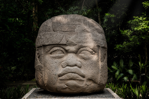 The olmecs are the mother culture of maya. They did this colossal head carved in stone.