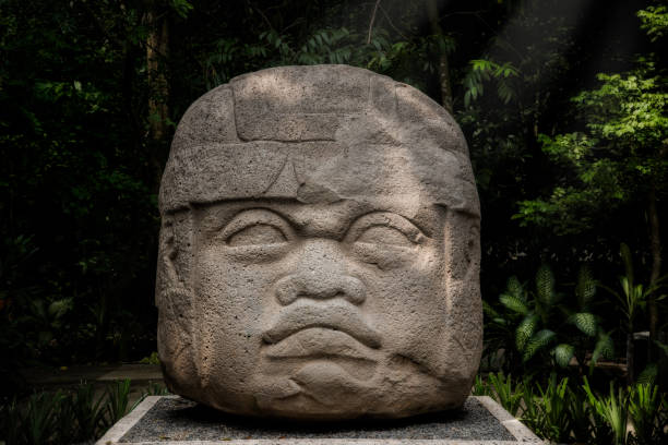Head carved in stone by the Olmecs The olmecs are the mother culture of maya. They did this colossal head carved in stone. olmec head stock pictures, royalty-free photos & images