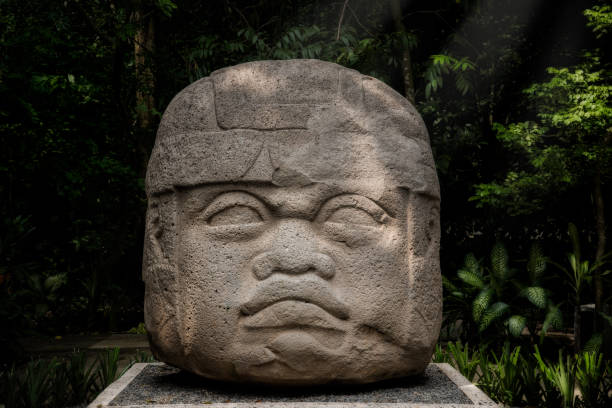 Head carved in stone by the Olmecs The olmecs are the mother culture of maya. They did this colossal head carved in stone. tabasco state stock pictures, royalty-free photos & images