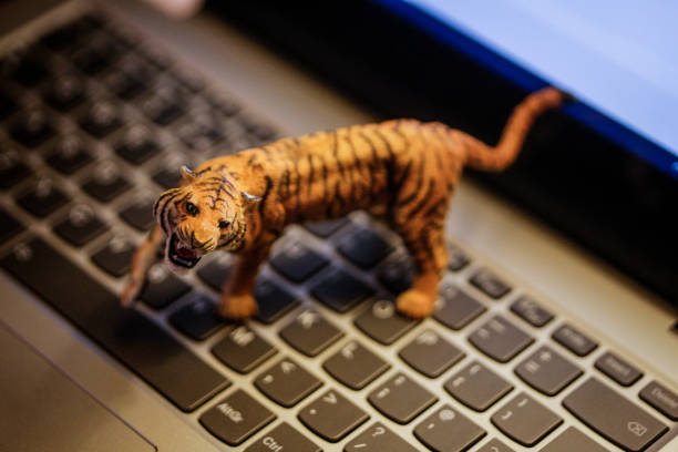 istock Toy tiger on laptop keyboard 900715226
