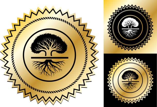 Large old oak tree. Large old oak tree.This image features the main icon on a round sticker design. The image is a  vector illustration. The colors are black, white and golden gradient. It's placed against a white background. There are two more alternative designs of the seal on the right of the image. This royalty free vector illustration is easy to modify. old oak tree stock illustrations