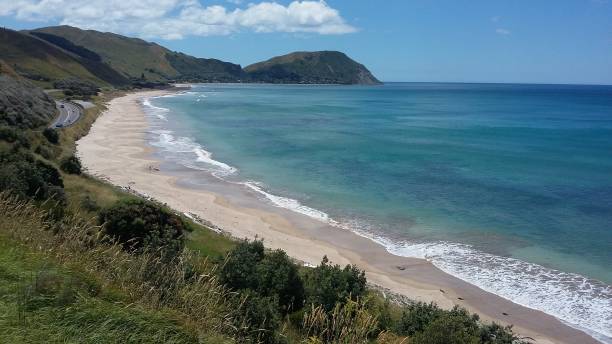 istock Makorori Beach lookout 900719222