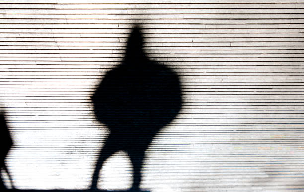 Blurry crooked shadow silhouette of a person stock photo