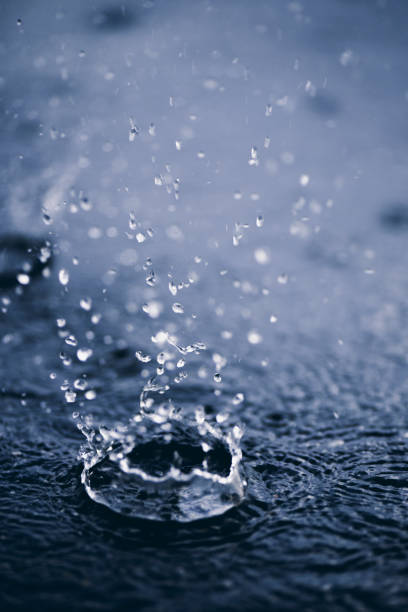 Rain drops on the surface of water in a puddle.