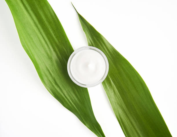 istock White cream bottle placed, Blank label package for mock up on a green foliage background. The concept of natural beauty products. 900730924