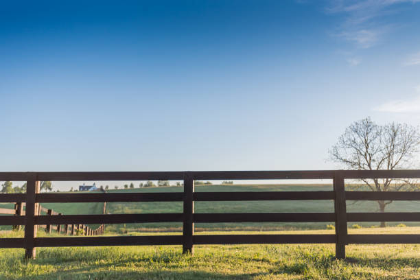 barrière de cheval avec un ciel bleu - farm fence photos et images de collection