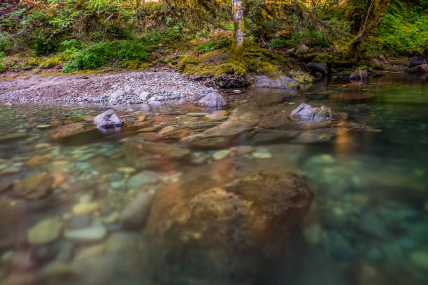 istock Rocks in Swimming Hole in Brice Creek 900734396