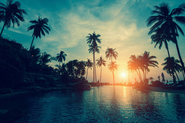 istock Tropical sea beach with silhouetted palm trees during sunset. 900735410