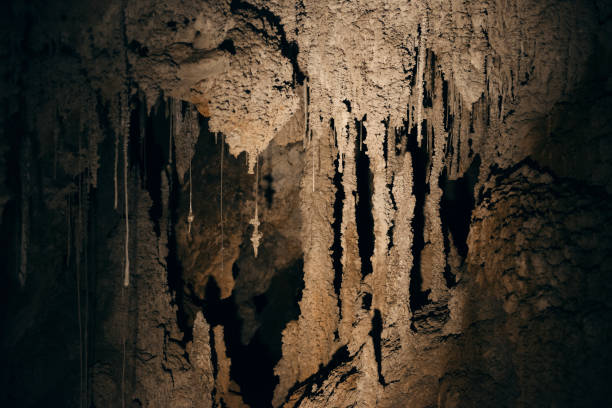 istock Marakoopa Cave in Mayberry, Mole Creek, Tasmania. 900738898