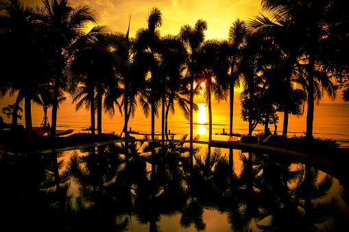 Tropical beach with pool and silhouetted palm trees during sunset, orange color special effect. Taken in Thailand hot summer beach.