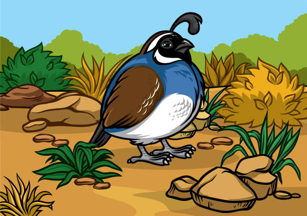 karikatur von kalifornien wachteln vogel in der natur - bush bird tree wood stock-grafiken, -clipart, -cartoons und -symbole