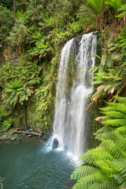 istock Beauchamp Falls, Great Ocean Road, Beech Forest, Victoria, Australia 900750638