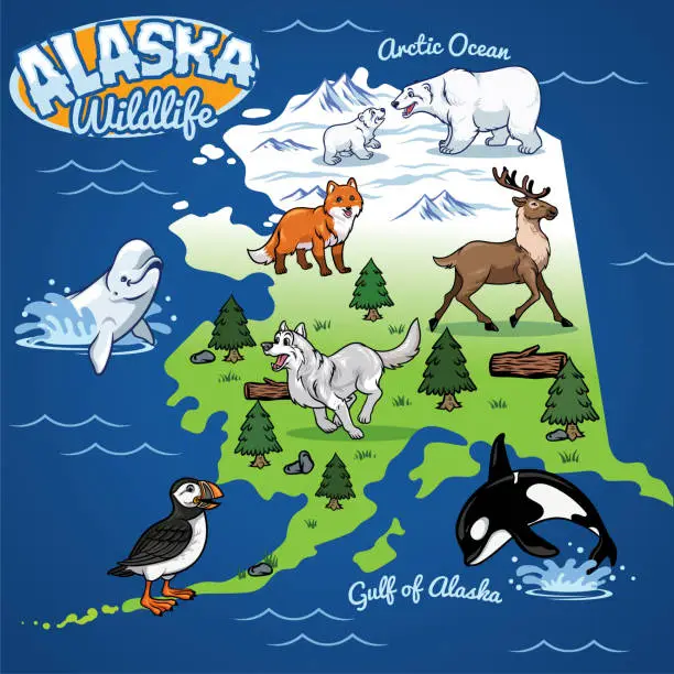 Vector illustration of Alaska Wildlife map in cartoon style