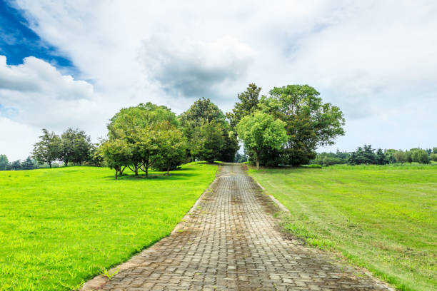 istock green meadow and trees with footpath landscape 900751606
